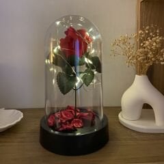 Işıklı Fanus Içinde Kırmızı Gül