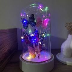 Renkli Peri Led'li 3 Modlu  Kelebek Fanus