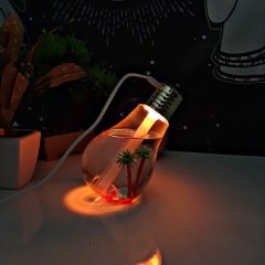 Night Light Bulb Humidifier Mini Ampul Nemlendirici Usb Girişli