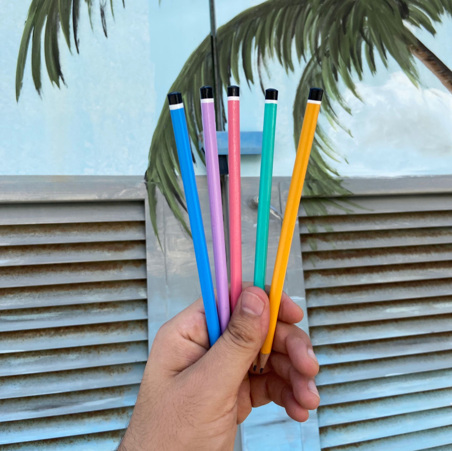 Pastel Renk Kurşun Kalem