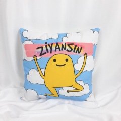 Ziyansın Baskılı Yastık